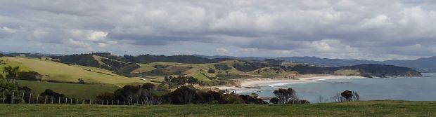 Tawharanui Regional Park