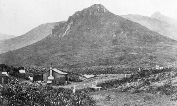 Campbell island farmhouse c Hocken Library Collections Dunedin