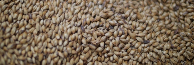 barley band
