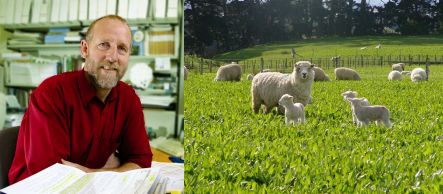 Hugh Blair and some sheep